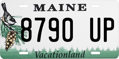 ME license plate 8790UP