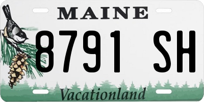 ME license plate 8791SH