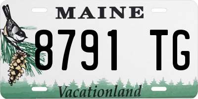 ME license plate 8791TG