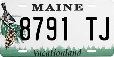 ME license plate 8791TJ