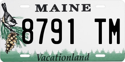 ME license plate 8791TM