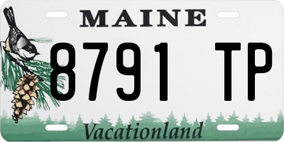 ME license plate 8791TP