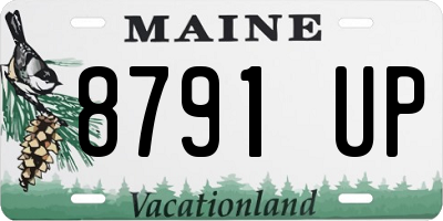 ME license plate 8791UP