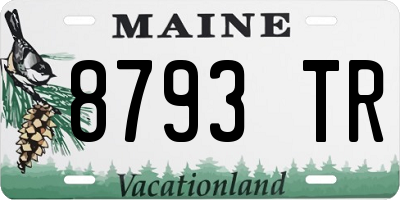 ME license plate 8793TR