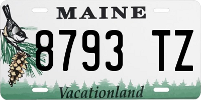ME license plate 8793TZ