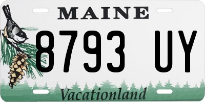 ME license plate 8793UY