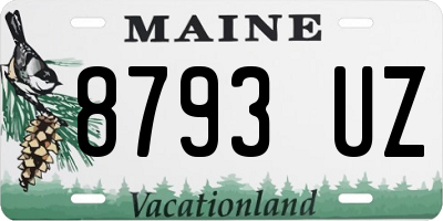 ME license plate 8793UZ