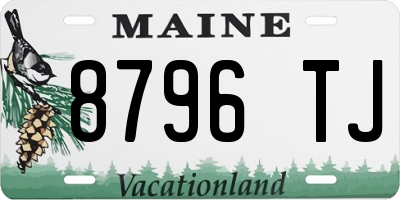 ME license plate 8796TJ