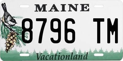 ME license plate 8796TM