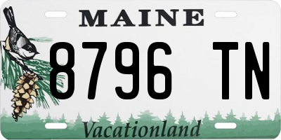 ME license plate 8796TN