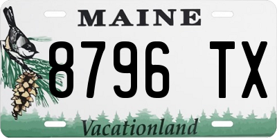 ME license plate 8796TX