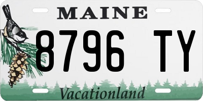 ME license plate 8796TY