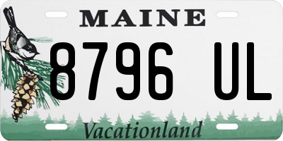 ME license plate 8796UL