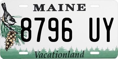 ME license plate 8796UY