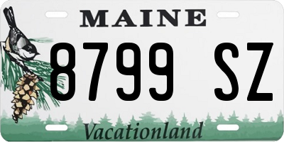 ME license plate 8799SZ