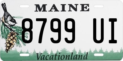 ME license plate 8799UI