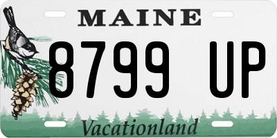 ME license plate 8799UP