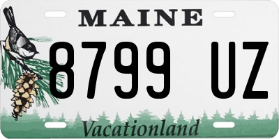ME license plate 8799UZ