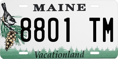 ME license plate 8801TM
