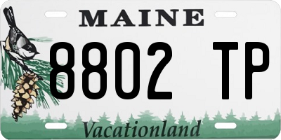 ME license plate 8802TP