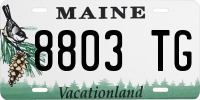 ME license plate 8803TG