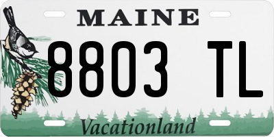 ME license plate 8803TL