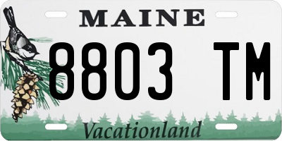 ME license plate 8803TM