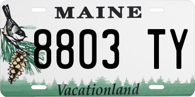 ME license plate 8803TY