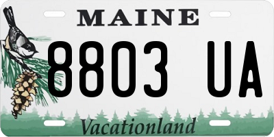 ME license plate 8803UA