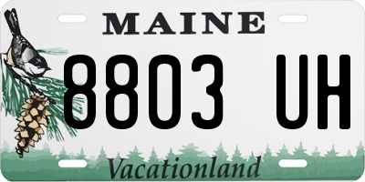 ME license plate 8803UH