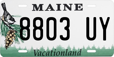 ME license plate 8803UY