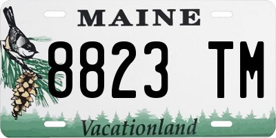 ME license plate 8823TM