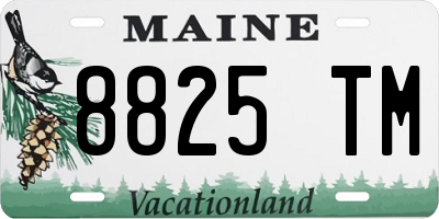 ME license plate 8825TM