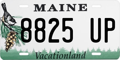 ME license plate 8825UP