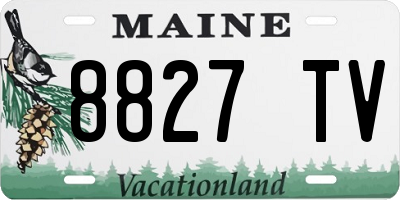ME license plate 8827TV