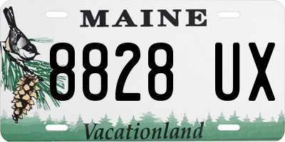ME license plate 8828UX