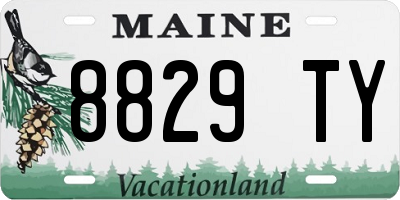 ME license plate 8829TY