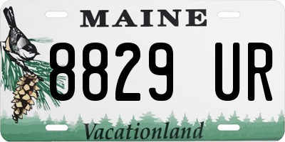 ME license plate 8829UR