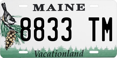 ME license plate 8833TM