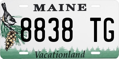 ME license plate 8838TG