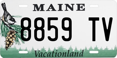 ME license plate 8859TV
