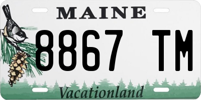 ME license plate 8867TM
