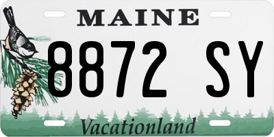 ME license plate 8872SY