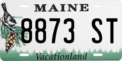 ME license plate 8873ST