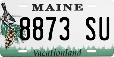 ME license plate 8873SU