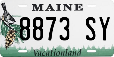ME license plate 8873SY