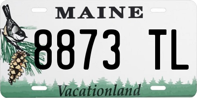 ME license plate 8873TL