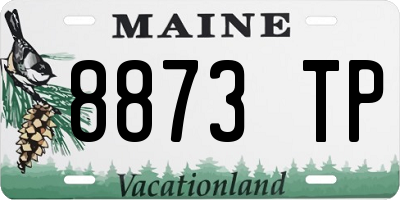 ME license plate 8873TP