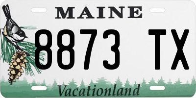 ME license plate 8873TX