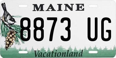 ME license plate 8873UG